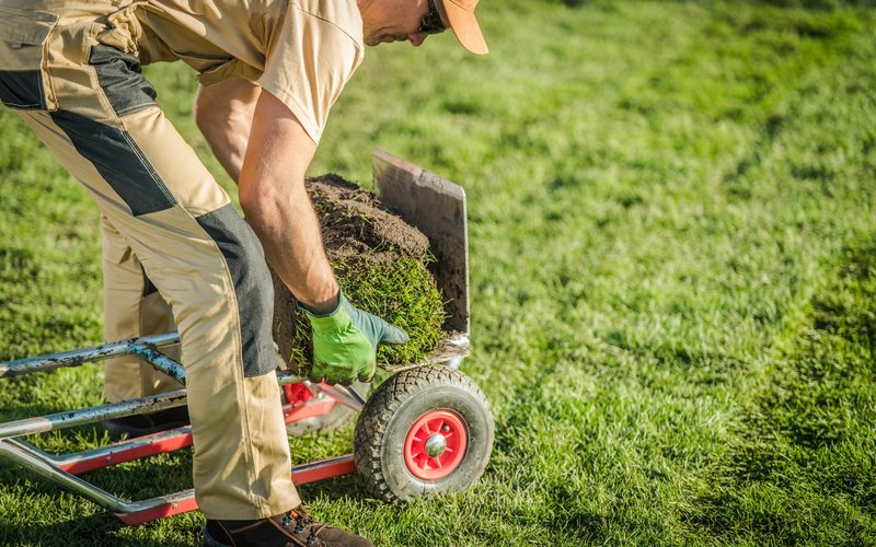 Landscaper in tan work clothes lifting a roll of sod onto a hand truck