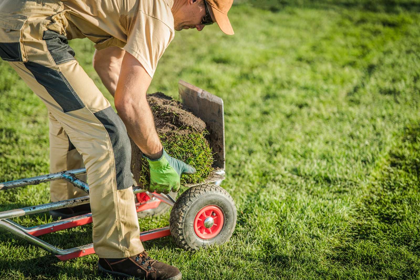 Landscaper in tan work clothes lifting a roll of sod onto a hand truck